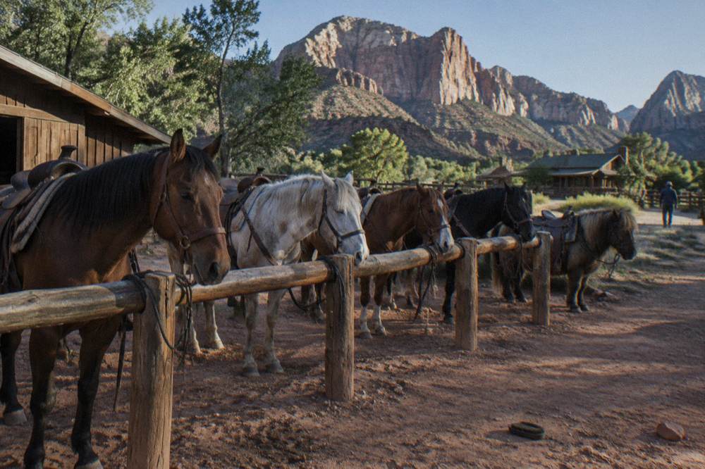 A quiet ranch corral with horses saddled and tied, waiting for riders