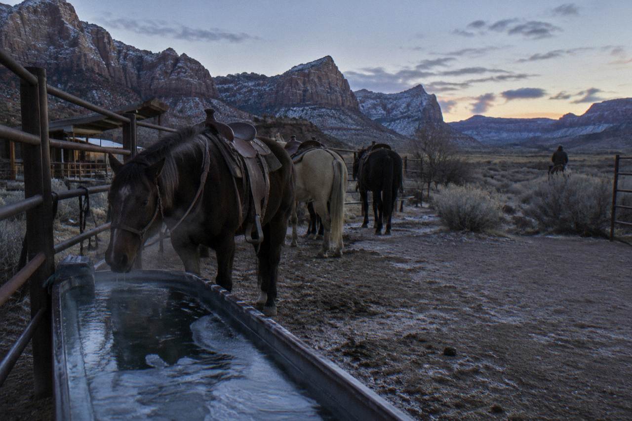 Saddled horses standing quietly at a ranch corral fence under a wide desert sky