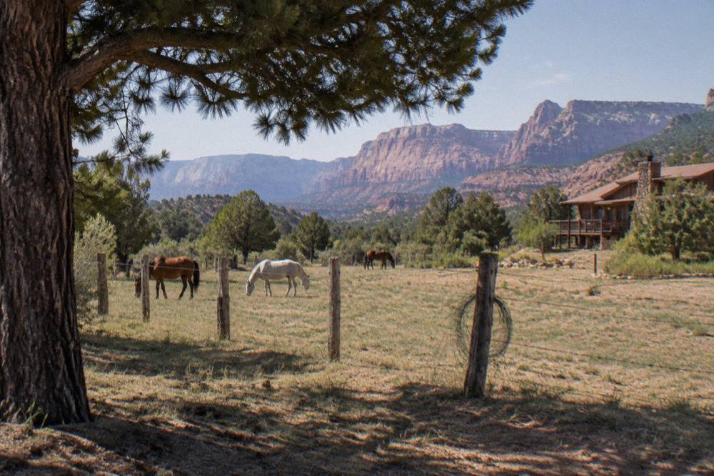 Ranch horses grazing near a fence line with red rock mesas in the distance
