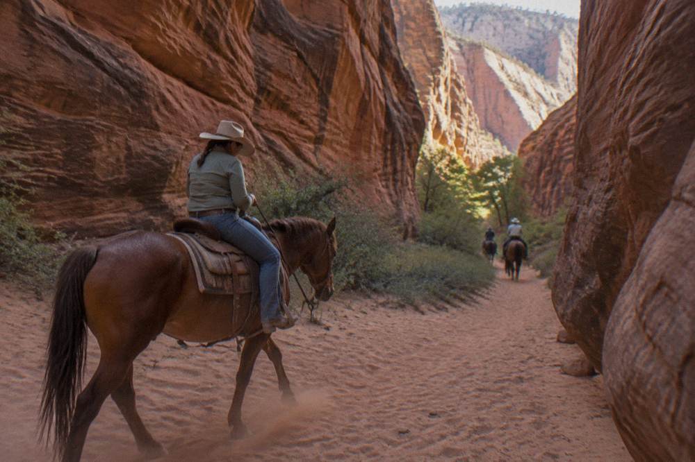 A horse and rider walking a sandy trail between canyon walls in late afternoon light