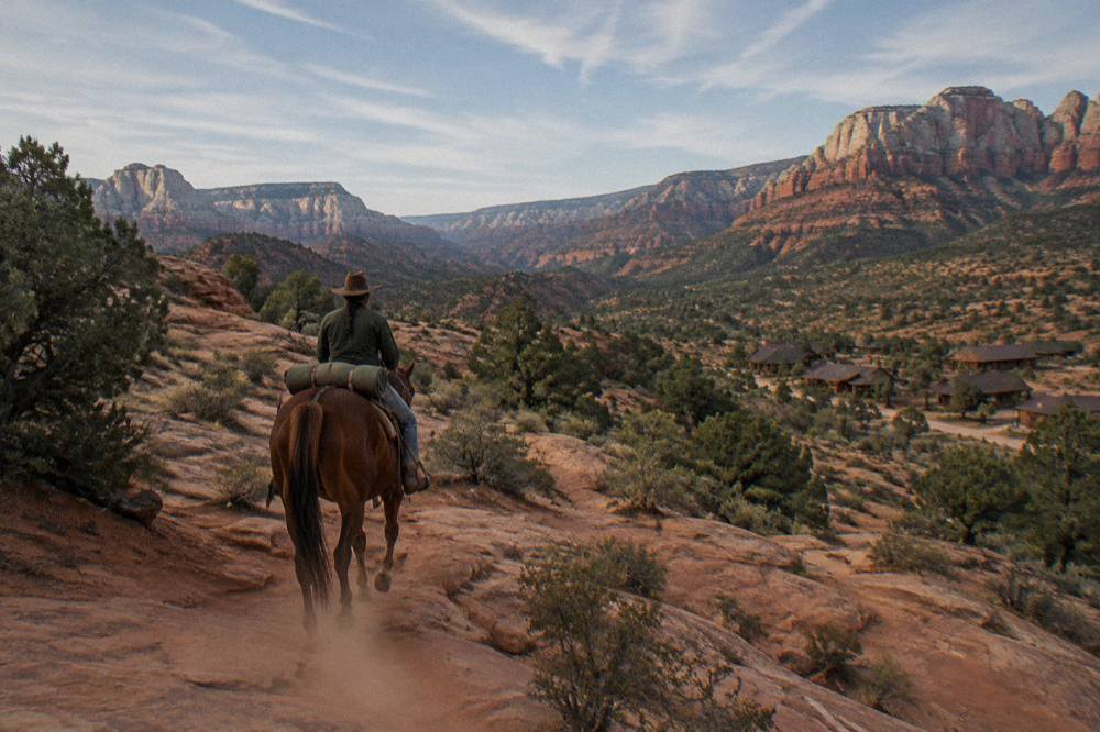 A guided line of horses walking along a sandstone ridge with wide canyon views