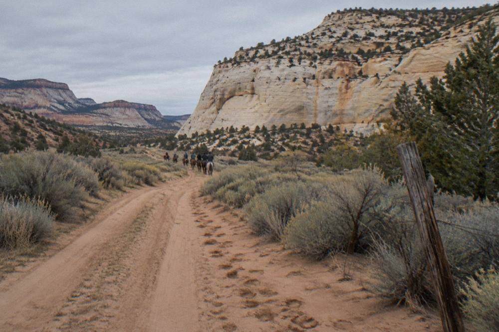 A horse trail winding through sagebrush toward pale sandstone cliffs in soft light