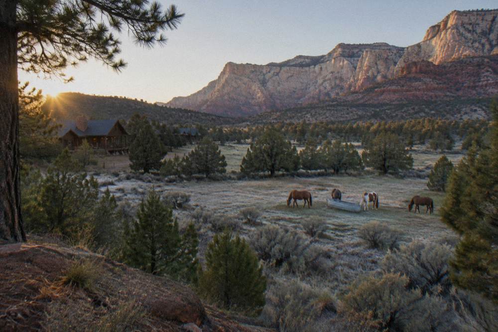A wide meadow of sage and juniper below pale cliffs near the east entrance of Zion