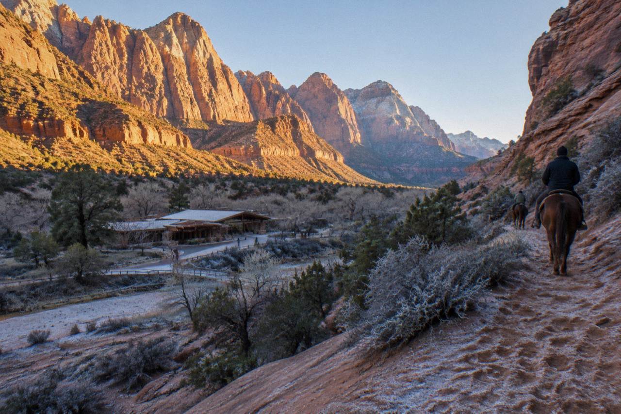 Red rock canyon walls rising above a sandy trail with scrub vegetation in morning light
