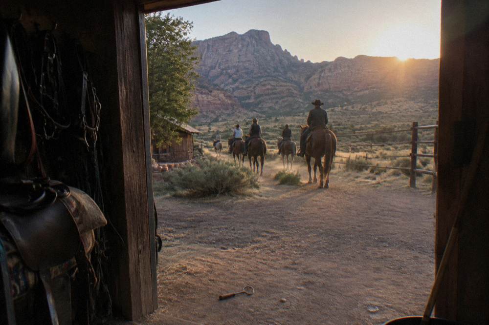 Golden light across rolling sage flats with distant mesa cliffs