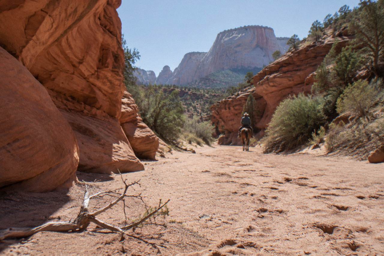 Red rock canyon walls above a sandy trail near Kanab under a wide desert sky