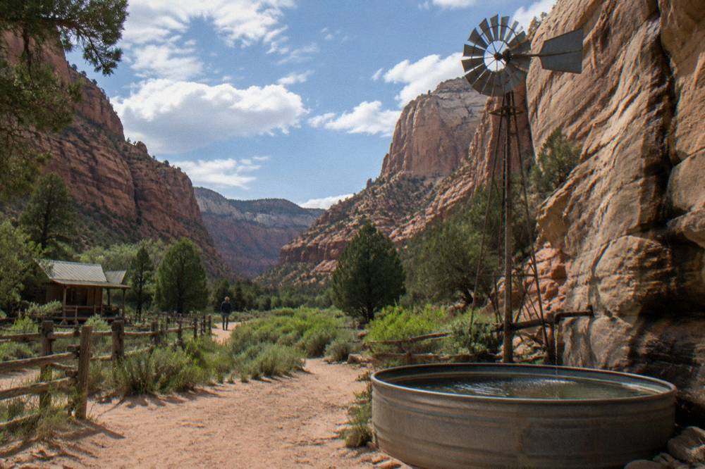 A green canyon with sandstone walls and scattered juniper trees
