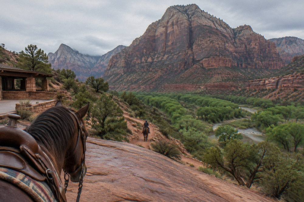 A horse and rider on a sandstone rim trail with layered canyon walls in the distance