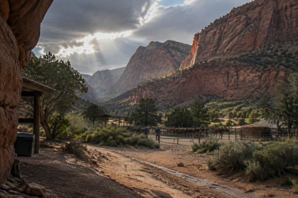 Sunlight striking tall red sandstone cliffs above a dry sandy wash scattered with juniper trees