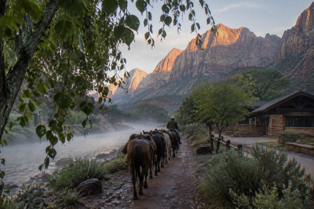 A string of riding horses on a dirt trail with the Virgin River running alongside tall rock walls