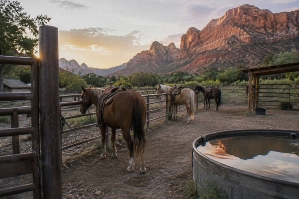 A quiet ranch corral with saddled horses tied to a rail under a wide desert sky