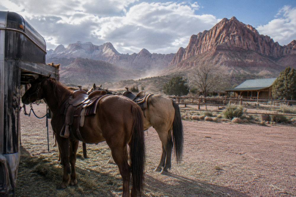 Two horses tied at a trailer in a gravel parking area with red mesas in the distance