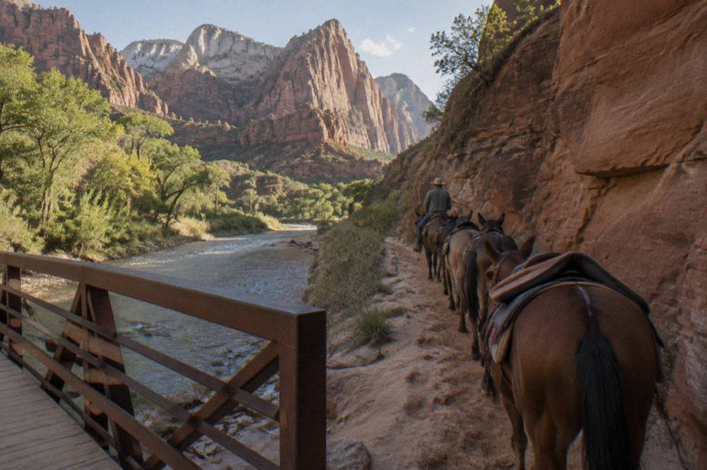 String of ridden horses following a guide along a sandy trail between red rock walls
