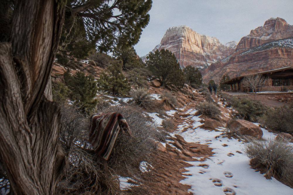 A horse trail winding through juniper and scrub with pale winter light on distant mesas