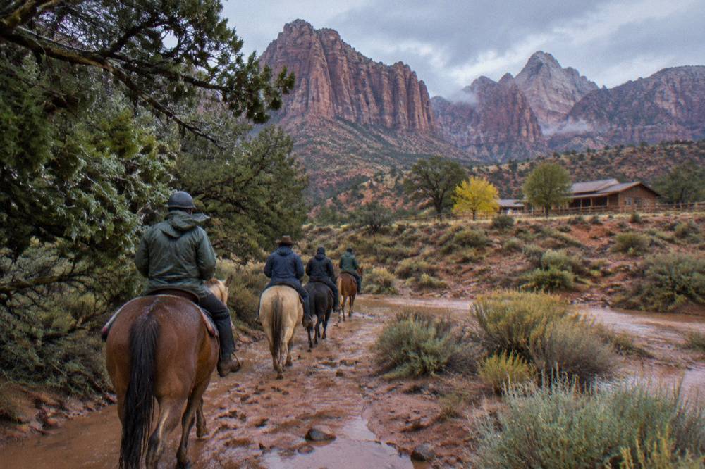 A guided line of horses crossing open sagebrush mesa country
