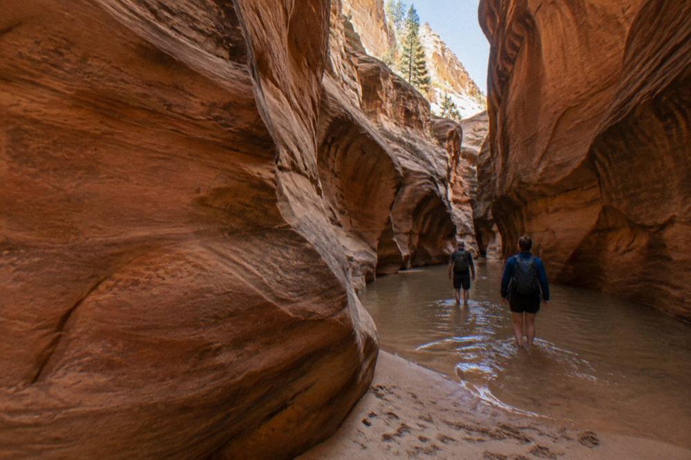 A narrow slot canyon corridor with smooth curved rock walls glowing in reflected light