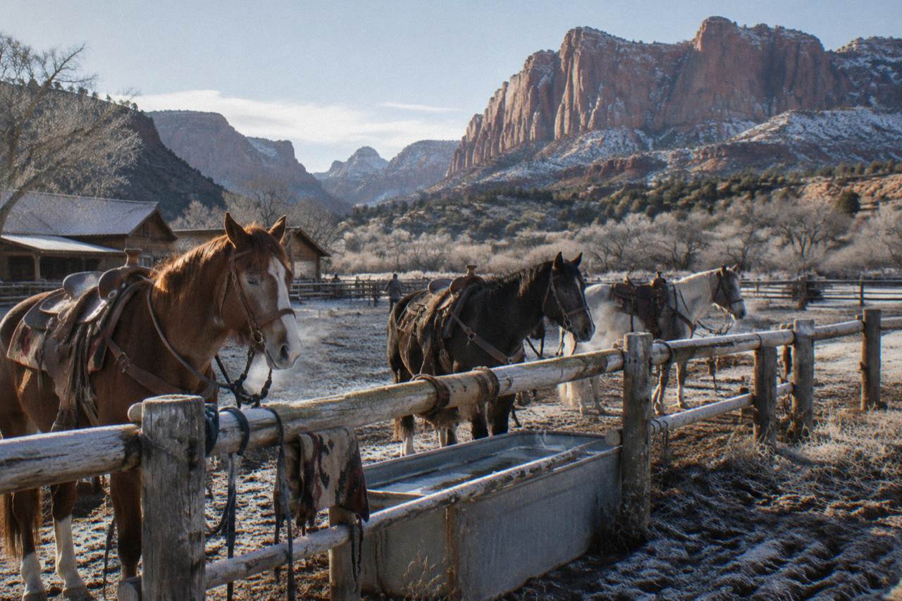 Saddled horses standing tied at a wooden corral fence with red rock mesas behind them