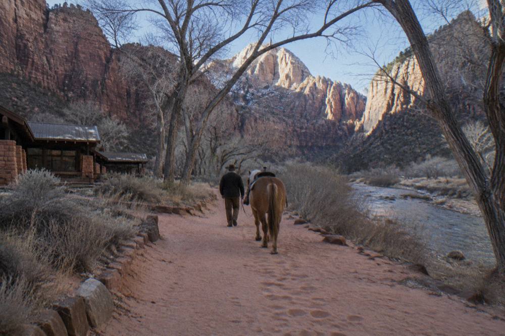 A horse and rider walking a sandy trail between tall red rock walls