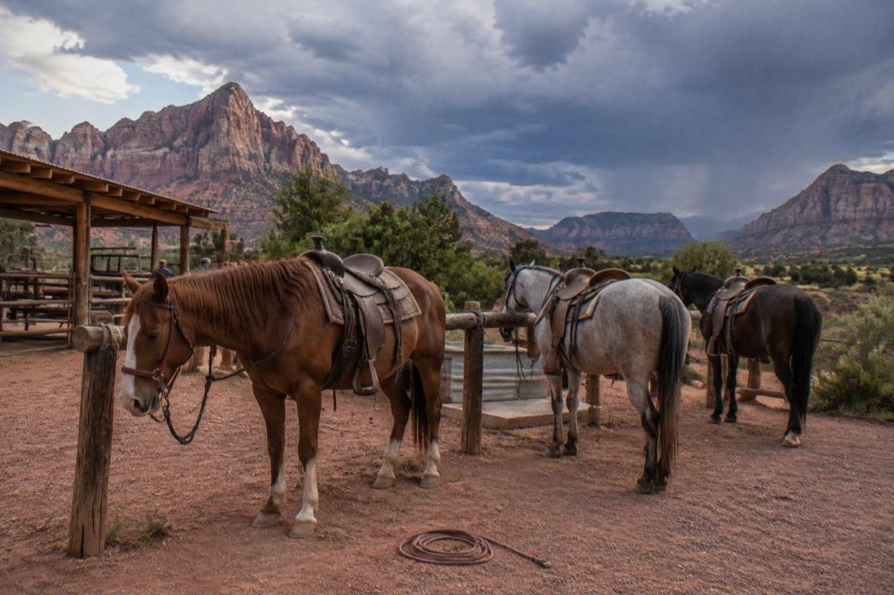 Saddled horses standing in a red rock corral under a wide desert sky