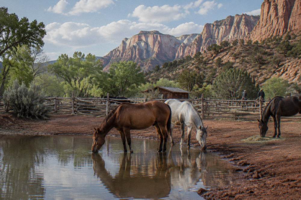 Horses standing in a corral beside a ranch fence with wide desert plateaus in the background.
